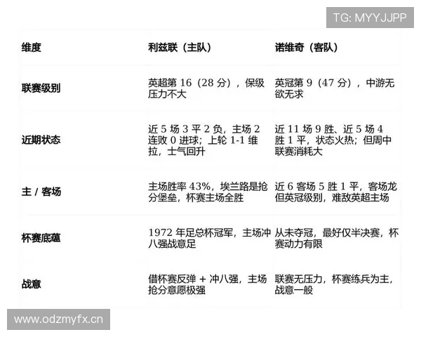 世界杯最新动态：各大赛事分析、球员表现评析及未来比赛预测